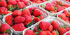 Comment congeler les fraises pour des smoothies ?
