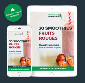 livre 30 recettes de smoothies aux fruits rouges
